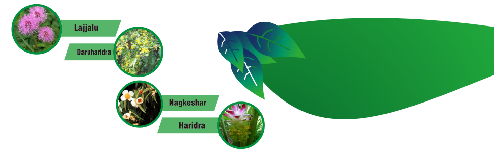 natural ingredients,herbal product,ayurvedic cream,lajjalu,daruharidra,nagkeshar,haridra
