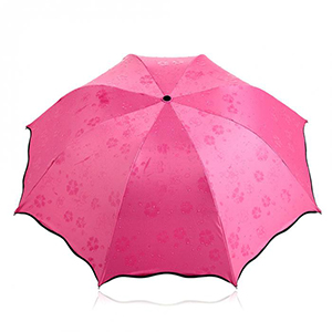 UMBRELLA