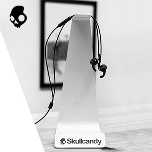 In-Line Microphone