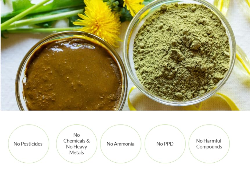 Pride of India Natural Hair Color Herbal Henna & Indigo Mix