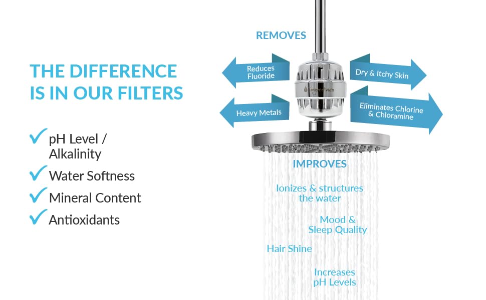 pH ENERGIZE 15Stage Shower Filter Includes 2 Filters Filters