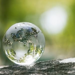 Glass globe in forest