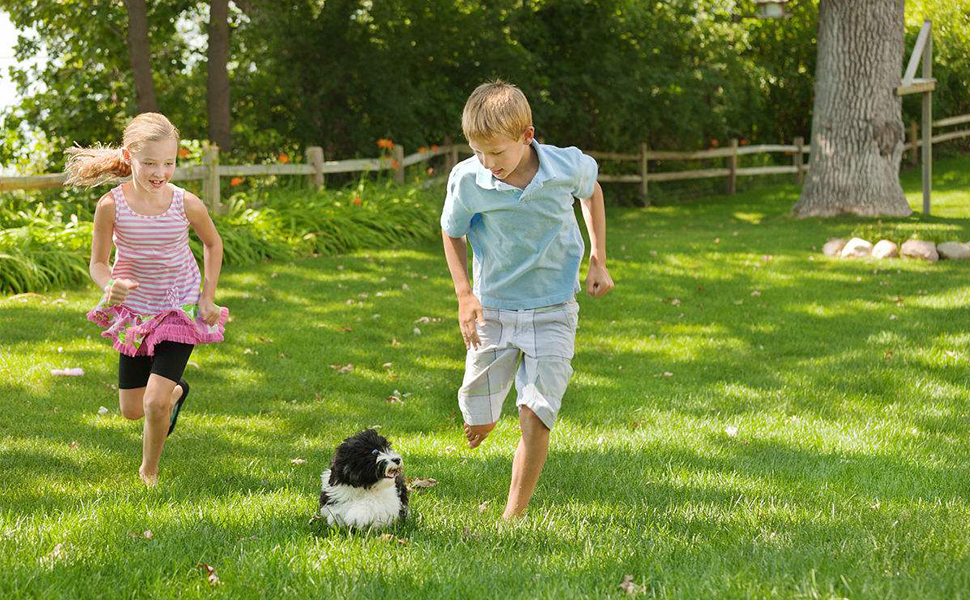 XZONE PET Airline Approved SoftSided Pet Travel Carrier for Dogs and