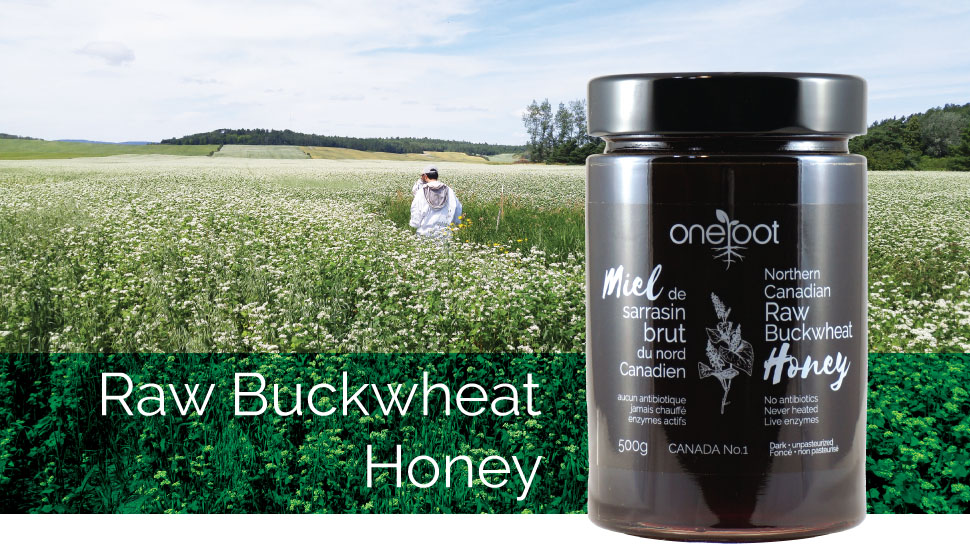 ONEROOT Canadian Raw Buckwheat Honey (500g) Higher in Antioxidants