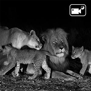 NO Glow Night Vision & 44pcs IR LEDS