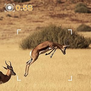 0.5s Fast Trigger Speed