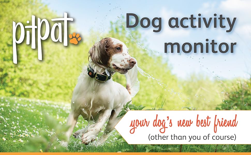 PitPat 2 Dog Activity Monitor & Fitness Tracker Wearable