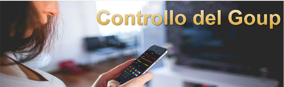 VIPMOON DC5~24V SP108E Controller 