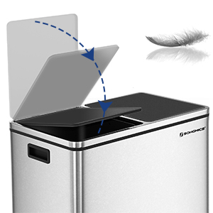 Songmics Cestino Doppio Con Pedale Per Riciclaggio, 2 X 30L Cestino Per Rifiuti Con Doppio Scomparto, Acciaio Inossidabile A Prova Di Impronte, Cestini Interni Di Plastica E Manici, Con I Sacchetti Della Spazz 12 Cestino Doppio