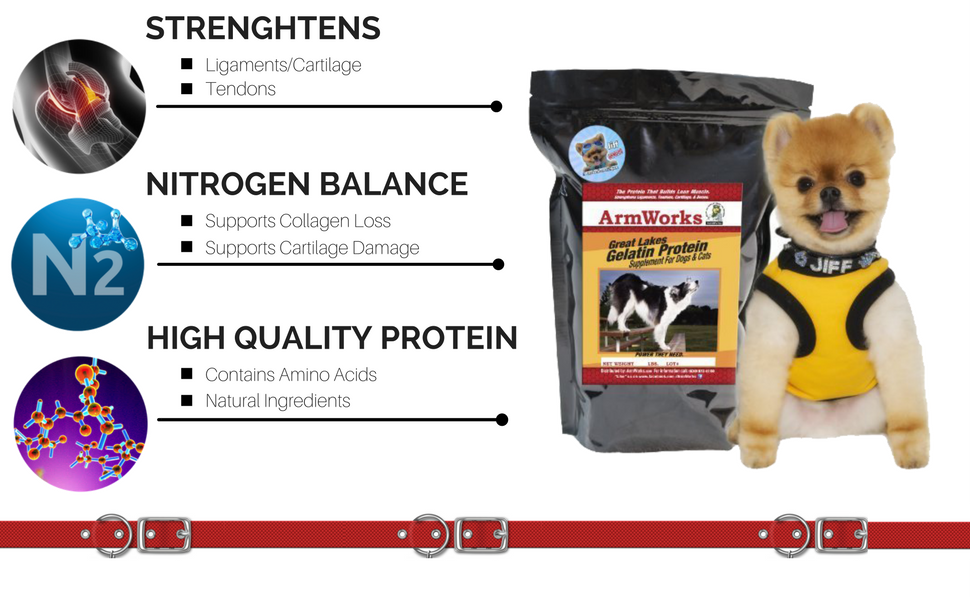 ArmWorks Great Lakes Gelatin Protein for Dogs & Cats 3
