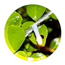 waterproof ip44 weatherproof string lights christmas tree lights