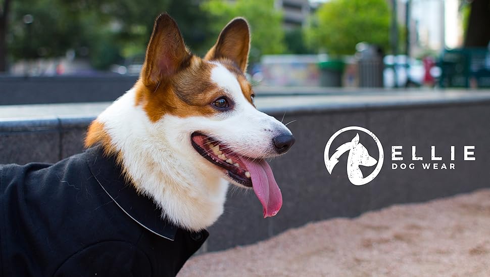 Ellie Dog Wear The Wallstreet Peacoat with Reflectors for Night Visibility and