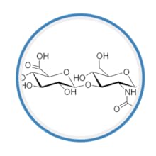 Sodium Hyaluronate