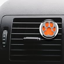 car diffuser