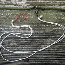trot line fishing outdoors cord line twine photo