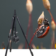 Small manufacture image 3