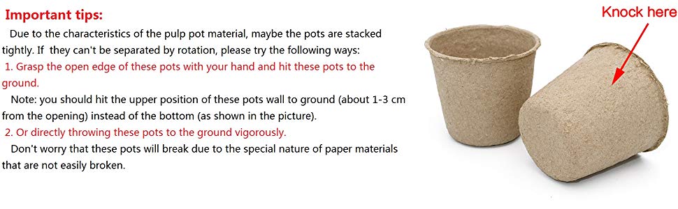 Transplant Seedlings Pots