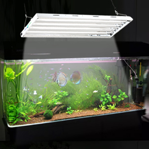 Amazon.com: HYDRO PLANET T5 Grow Lights 4-Ft 4-Lamp ...