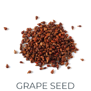 Small manufacture image 7