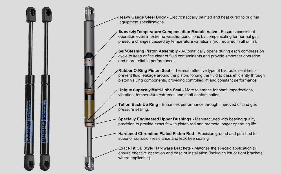 ARANA Rear Liftgate Struts compatible with 20072011 Honda