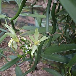 Small manufacture image 3