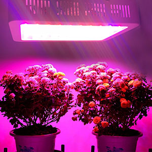 Small manufacture image 10