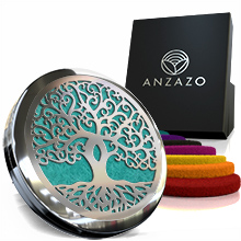 car fragrance accessories diffuser vent clip  air  best freshener car air  aromatherapy scents