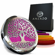 car fragrance accessories diffuser vent clip  air  best freshener car air  aromatherapy scents