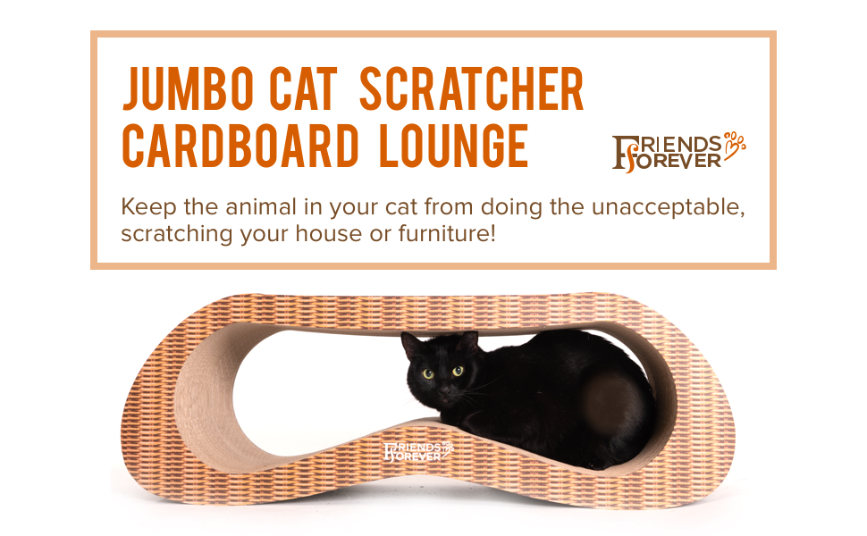 Friends Forever Jumbo 2 in 1 Large Premium Cat Scratcher