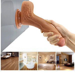 suction cup