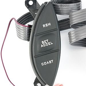 Cruise Control Switch