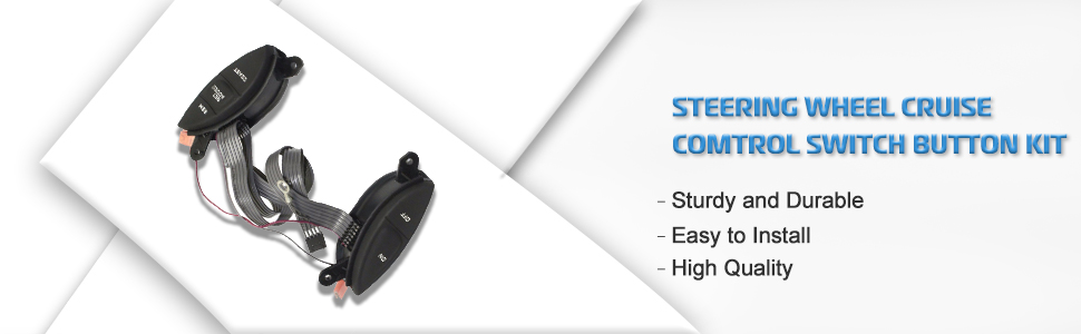 Cruise Control Switch