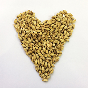 nutrient rich vegetable fruit smoothie green juice organic natural nutrition healthy barley alfalfa