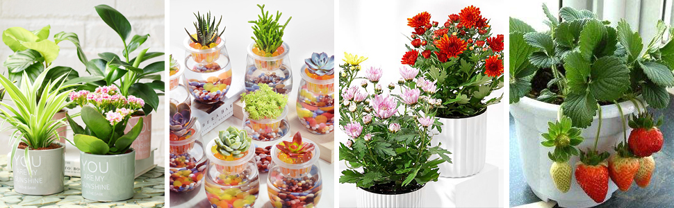 Small manufacture image 2