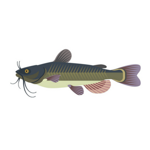 Fishing Hook Assortment Catfish Tailored Tackle