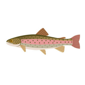 Fishing Hooks Assortment Trout Tailored Tackle