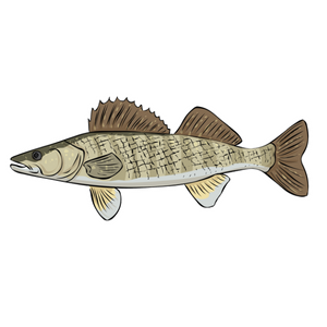 Fishing Hook Assortment Walleye Tailored Tackle