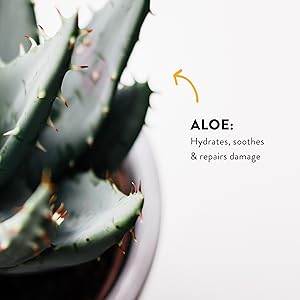 Topical aloe, aloe skin cream, aloe for sunburn, aloe sunscreen, aloe sunblock