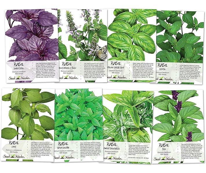 Basil Seed Packet Collection (8 Individual seed Packets