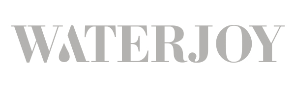 waterjoy stainless steel steamer