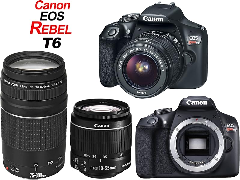 Amazon.com : Canon EOS Rebel T6 Digital SLR Camera