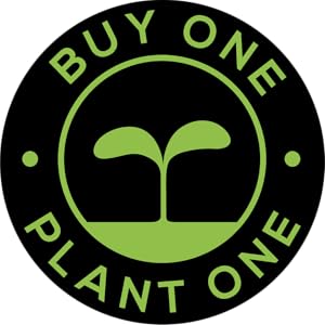 Buy one plant one decanters plant trees