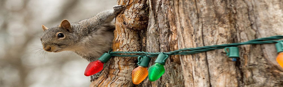 Small manufacture image 9