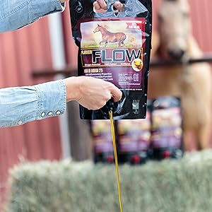 horse, oil, flax, healthy, omega 3, omega 6, anti-inflammatory, skin, coat