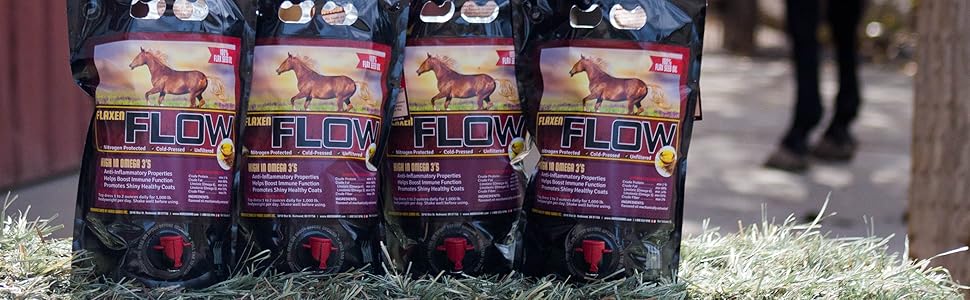 horse, oil, flax, healthy, omega 3, omega 6, anti-inflammatory, skin, coat