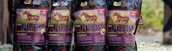 horse, oil, flax, healthy, omega 3, omega 6, anti-inflammatory, skin, coat