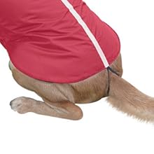 dog jacket