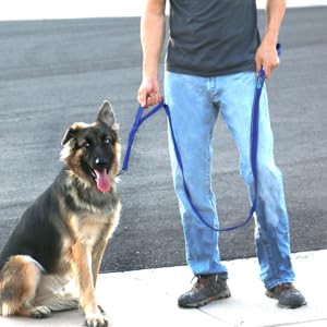 Best Leashes for German Shepherds and 