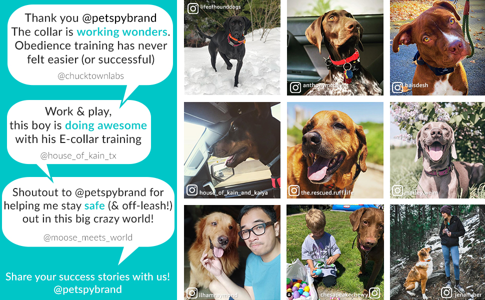 PetSpy happy customers from instagram