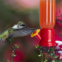 Small manufacture image 4